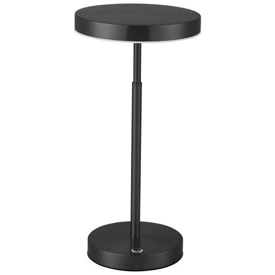 Francine 10W Table Lamp