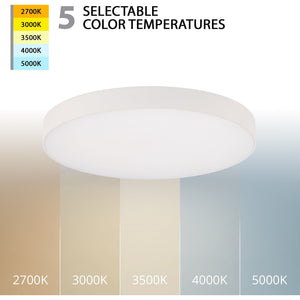 Round LED 5" Edgeless Slim Flush Mount