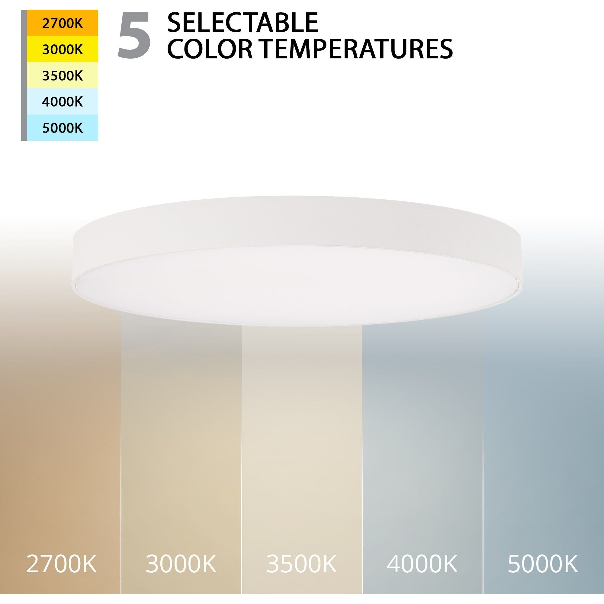 Round LED 8" Edgeless Slim Flush Mount