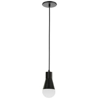 Fortuna 1-Light Pendant