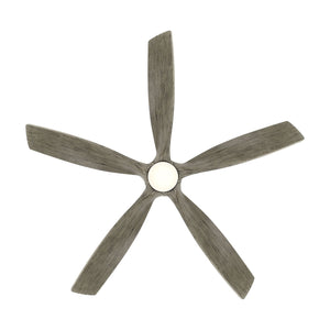 Zephyr Indoor/Outdoor 5-Blade 62" LED Smart Ceiling Fan