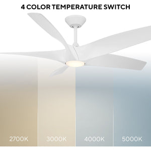 Zephyr Indoor/Outdoor 5-Blade 62" LED Smart Ceiling Fan