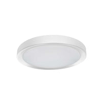Flynn 24W Flush Mount