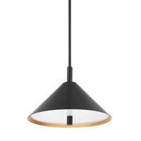 Brianna 2-Light Pendant