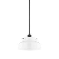 Luella 1-Light Small Pendant