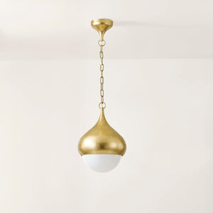 Luciel 1-Light Pendant