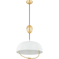 Liliana 1-Light Pendant