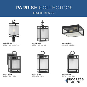 Parrish 1-Light Outdoor Wall Light