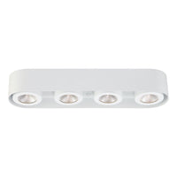 Nymark 4-Light LED Surface Mount