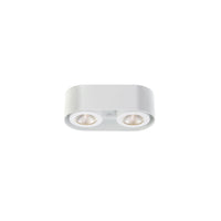 Nymark 2-Light LED Surface Mount