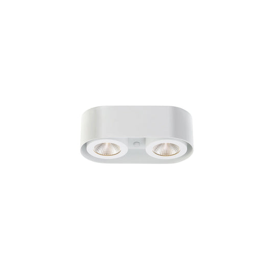 Nymark 2-Light LED Surface Mount