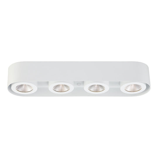 Nymark 4-Light LED Surface Mount