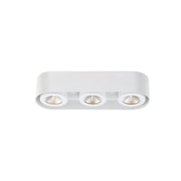 Nymark 3-Light LED Surface Mount