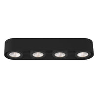 Nymark 4-Light LED Surface Mount