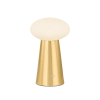 Cashel 1-Light LED Rechargeable Table Lamp