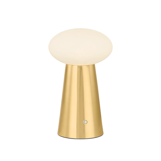 Cashel 1-Light LED Rechargeable Table Lamp