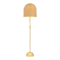 Darfield Floor Lamp