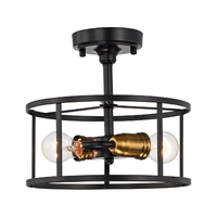 Alcona 2-Light Semi-Flush Mount