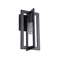 Vanhill 1-Light Outdoor Wall Light