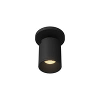 Lorna 6" (3" Dia.) LED Adjustable Ceiling Mount