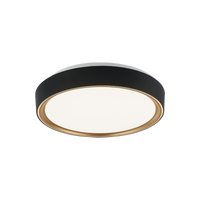 Alamus 1-Light Ceiling Mount