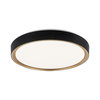 Alamus 1-Light Ceiling Mount