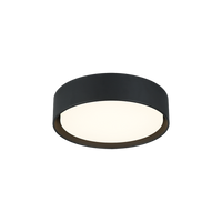 Ezra 13" Ceiling Mount