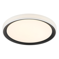 Oculus 1-Light Flush Mount