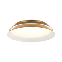 Dahlia 1-Light Wall Sconce