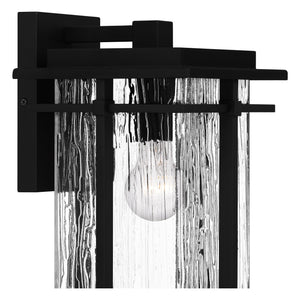 McAlister Outdoor Wall Light