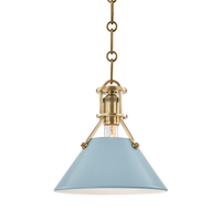 Painted No.2 1-Light Pendant