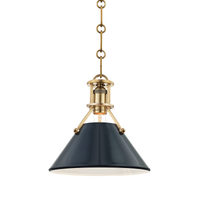 Painted No.2 1-Light Pendant