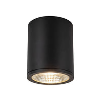 Nordic 6" (5" Dia.) LED Exterior Ceiling