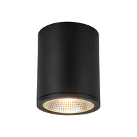 Nordic 6" (5" Dia.) LED Exterior Ceiling