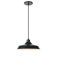 Olya 1-Light Pendant