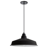 Olya 1-Light Pendant