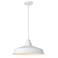 Olya 1-Light Pendant