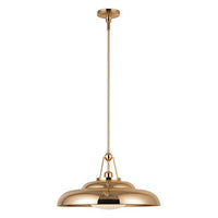 Palmetto 1-Light 20" Pendant