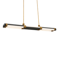 Catania 48" Linear Pendant