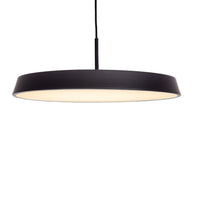 Leeds LED 20" Pendant