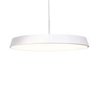 Leeds LED 20" Pendant