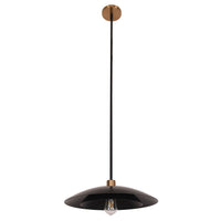 Pima 1-Light Pendant