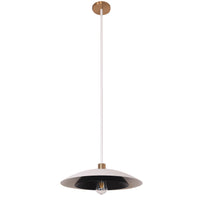 Pima 1-Light Pendant