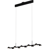 Horoscope 10-Light Linear Suspension