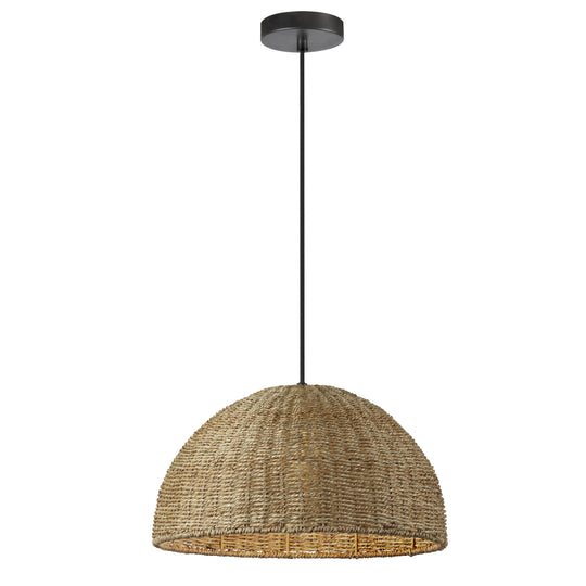 Pourel 1-Light Pendant