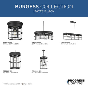 Burgess 1-Light Mini Pendant