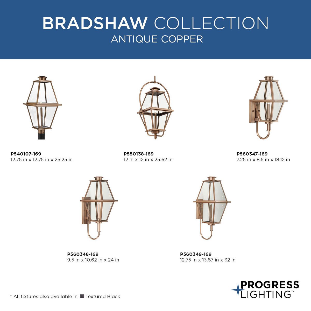 Bradshaw 1-Light Outdoor Pendant
