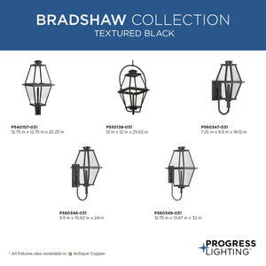 Bradshaw 1-Light Outdoor Wall Light