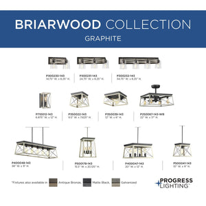 Briarwood 1-Light Close-to-Ceiling