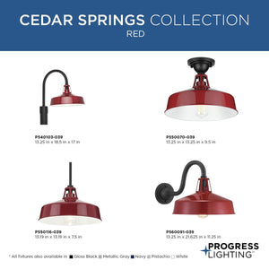 Cedar Springs 1-Light Outdoor Post Light